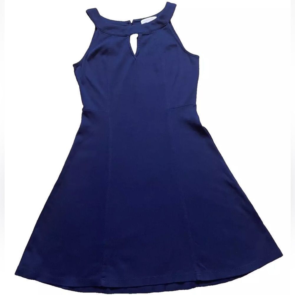 NY & Co Navy Blue Halter High Neck Fot & Flare Dress
